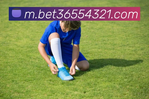 bet365中国官网平台生态图